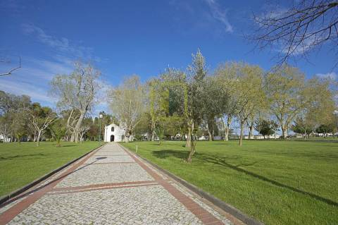 Terreno