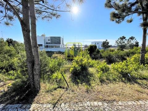 Lote de Terreno