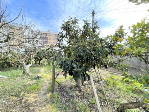 Terreno
