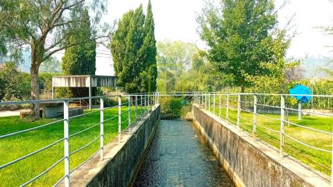 Terreno Rústico  Venda em Condeixa-a-Velha e Condeixa-a-Nova,Condeixa-a-Nova