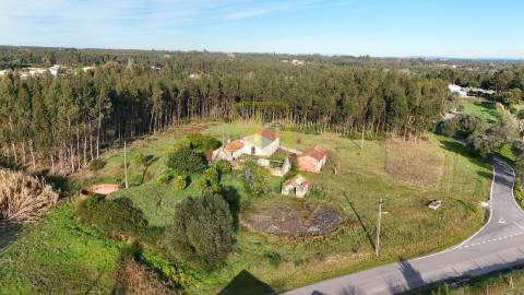 Quinta