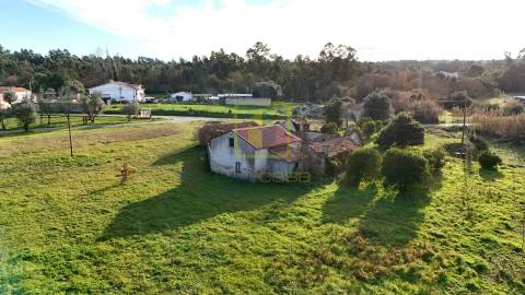 Quinta