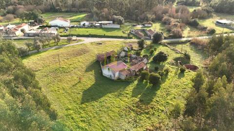 Quinta
