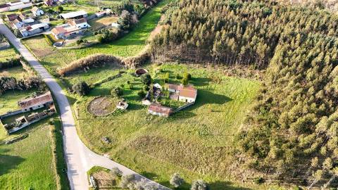 Quinta