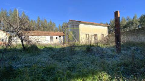 Quinta