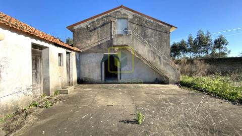 Quinta