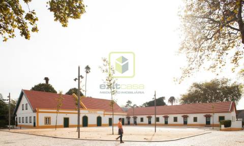 Terreno para Construção em Ílhavo