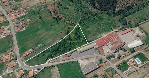 Terreno com Potencial para Construção