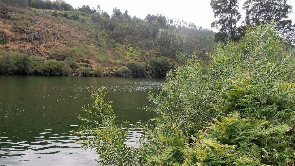 Terreno Rústico  Venda em Vila Boa de Quires e Maureles,Marco de Canaveses
