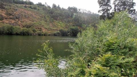 Terreno Rústico  Venda em Vila Boa de Quires e Maureles,Marco de Canaveses