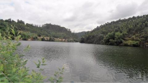 Terreno Rústico  Venda em Vila Boa de Quires e Maureles,Marco de Canaveses