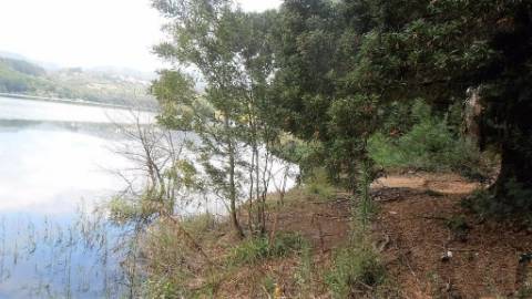 Terreno Rústico  Venda em Vila Boa de Quires e Maureles,Marco de Canaveses