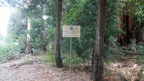 Terreno Rústico  Venda em Vila Boa de Quires e Maureles,Marco de Canaveses