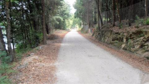 Terreno Rústico  Venda em Vila Boa de Quires e Maureles,Marco de Canaveses