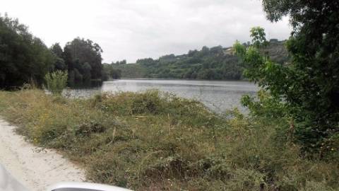 Terreno Rústico  Venda em Vila Boa de Quires e Maureles,Marco de Canaveses
