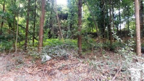 Terreno Rústico  Venda em Vila Boa de Quires e Maureles,Marco de Canaveses