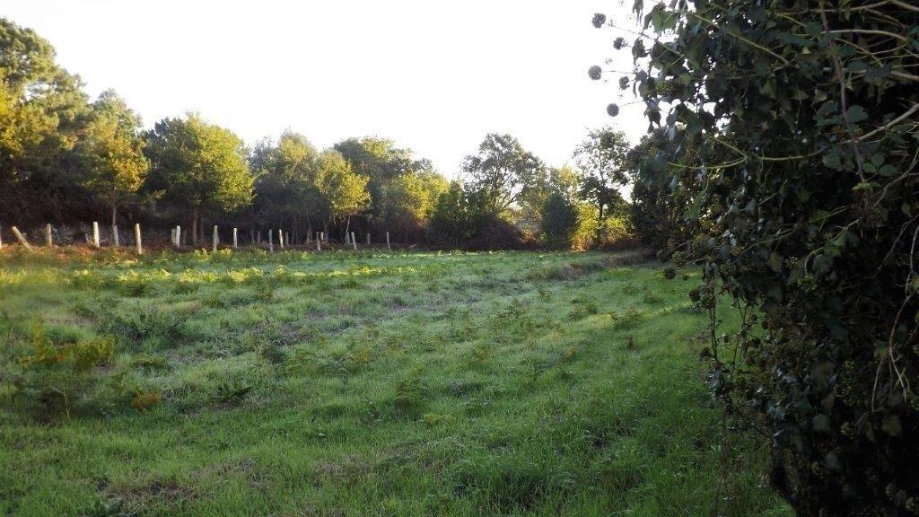 Terreno Urbano  Venda em Vila Praia de Âncora,Caminha