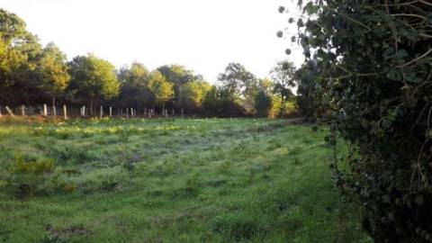 Terreno Urbano  Venda em Vila Praia de Âncora,Caminha