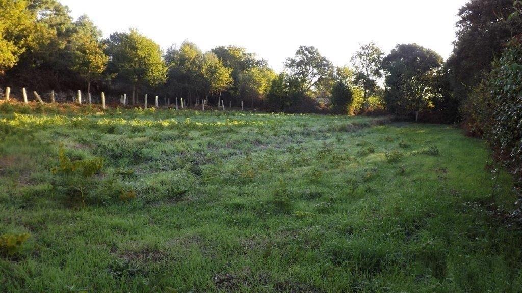 Terreno Urbano  Venda em Vila Praia de Âncora,Caminha