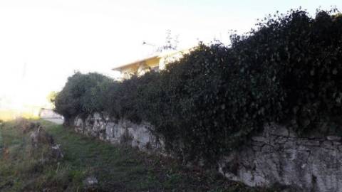 Terreno Urbano  Venda em Vila Praia de Âncora,Caminha