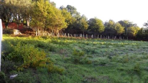 Terreno Urbano  Venda em Vila Praia de Âncora,Caminha