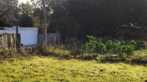 Terreno Urbano  Venda em Vila Praia de Âncora,Caminha