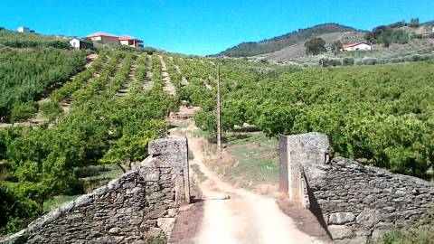 Herdade  Venda em Santa Comba de Vilariça,Vila Flor