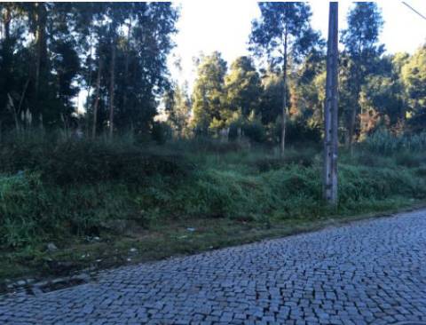Terreno Rústico 13.400 m² Vikla Nova de Gaia