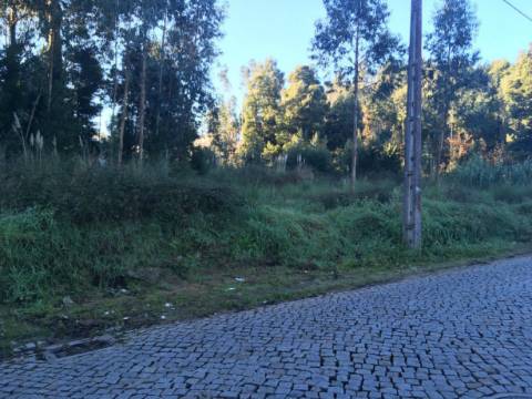 Terreno Rústico 13.400 m² Vikla Nova de Gaia