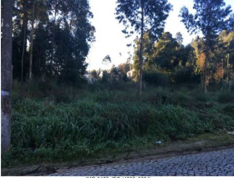 Terreno Rústico 13.400 m² Vikla Nova de Gaia