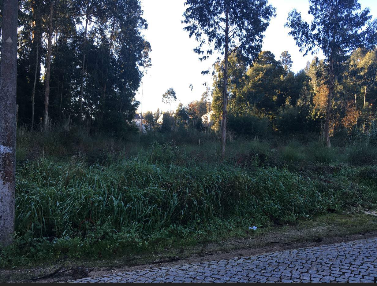 Terreno Rústico 13.400 m² Vikla Nova de Gaia