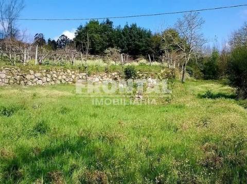 Terrenos em Penafiel