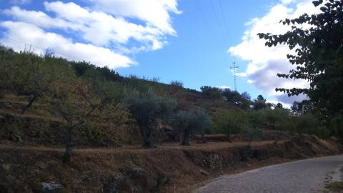 Lote de Terreno  Venda em Castanheiro do Norte e Ribalonga,Carrazeda de Ansiães