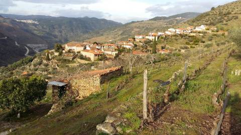 Lote de Terreno  Venda em Castanheiro do Norte e Ribalonga,Carrazeda de Ansiães