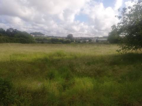 Moradia + Terreno - 6.558 m² | Fânzeres, Gondomar, Porto