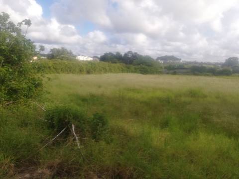 Moradia + Terreno - 6.558 m² | Fânzeres, Gondomar, Porto