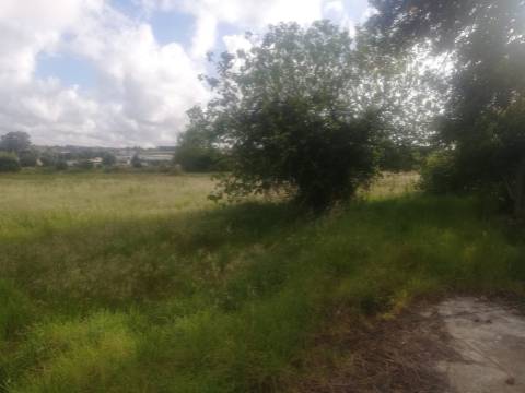 Moradia + Terreno - 6.558 m² | Fânzeres, Gondomar, Porto