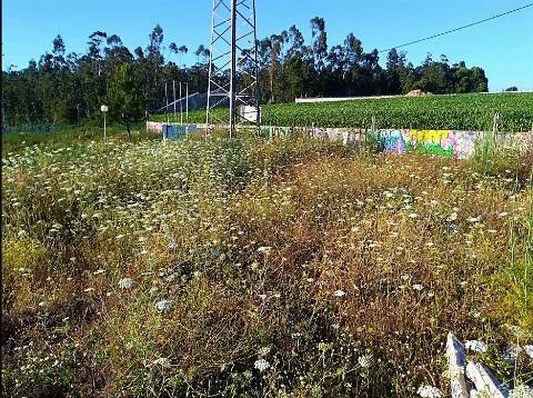 Terreno Para Construção com 2.400 m² - 4 Frentes | Azurara, Vila do Conde