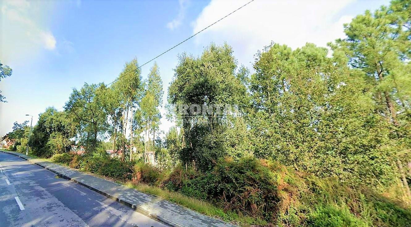 Terreno com 2 900 m2 em Crestuma