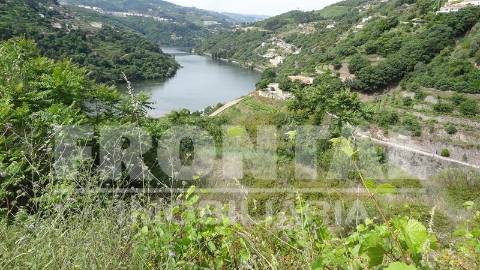 Terreno Único com Potencial Habitacional ou Agrícola | Santa Marinha do Zêzere, Baião