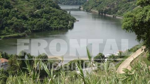 Terreno Único com Potencial Habitacional ou Agrícola | Santa Marinha do Zêzere, Baião