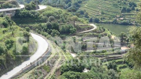 Terreno Único com Potencial Habitacional ou Agrícola | Santa Marinha do Zêzere, Baião