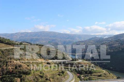 Terreno Único com Potencial Habitacional ou Agrícola | Santa Marinha do Zêzere, Baião