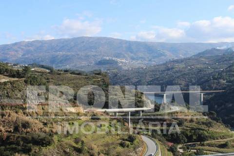 Terreno Único com Potencial Habitacional ou Agrícola | Santa Marinha do Zêzere, Baião