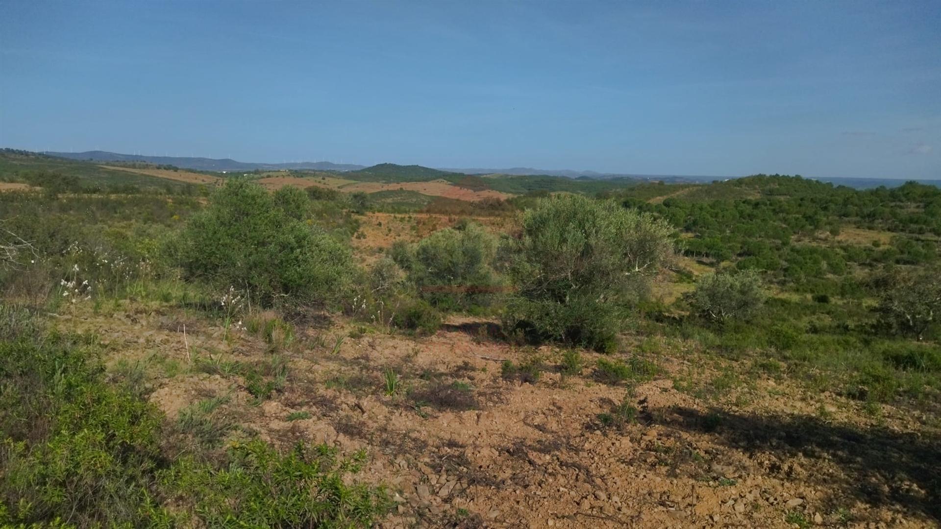 Terreno Rustico, Alcoutim