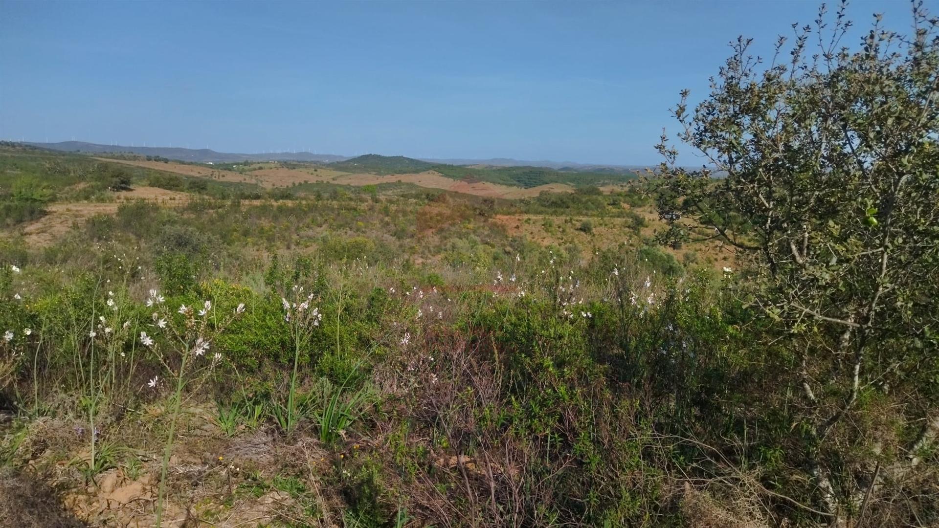 Terreno Rustico, Alcoutim
