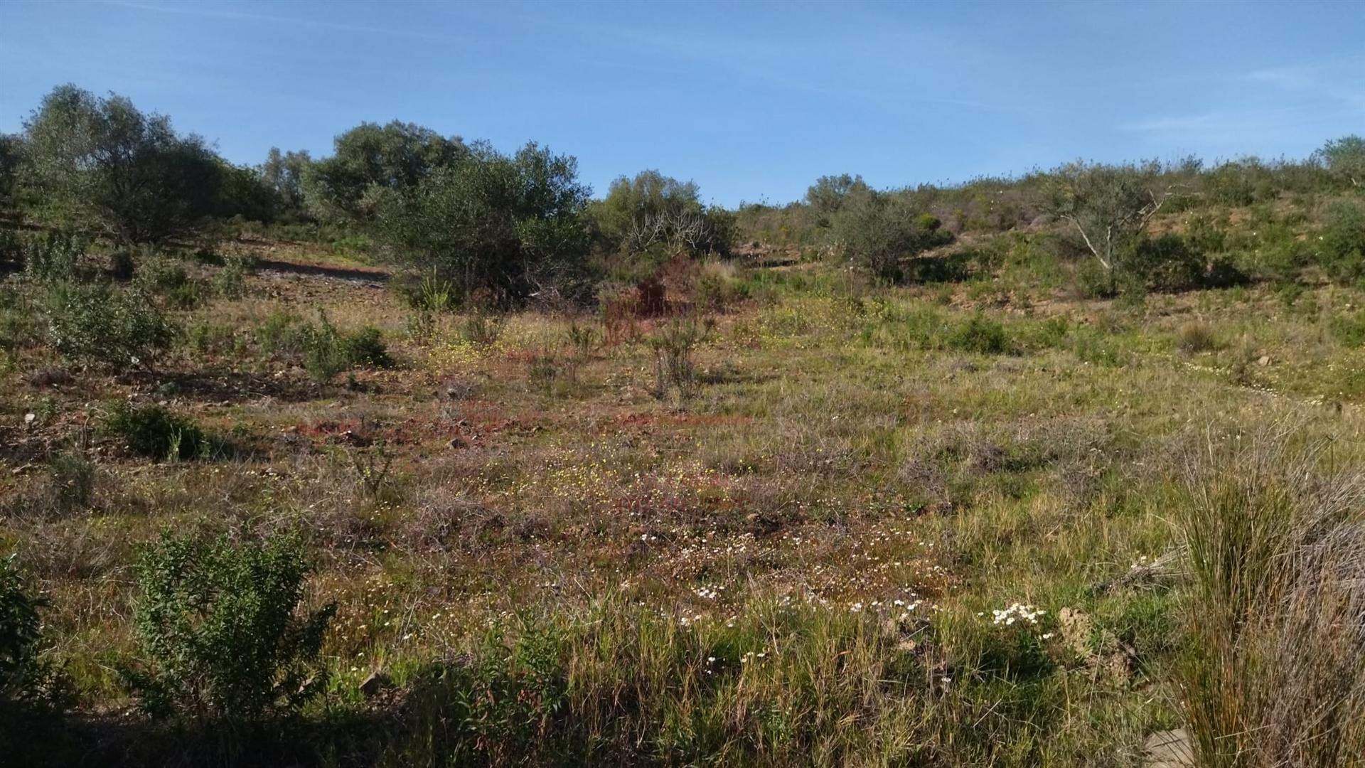 Terreno Rustico, Alcoutim