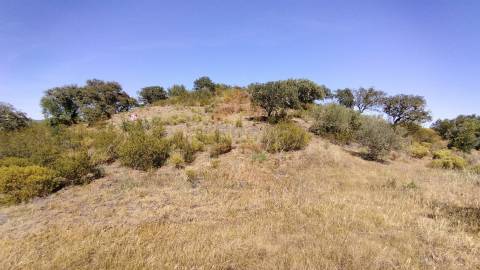Terreno Rústico  Venda em Alcoutim e Pereiro,Alcoutim