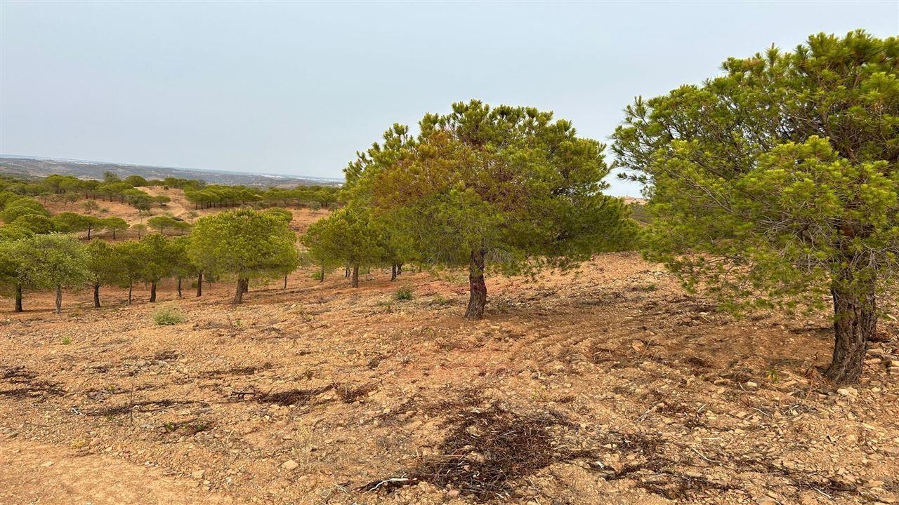 Terreno Rústico, Castro Marim, Azinhal