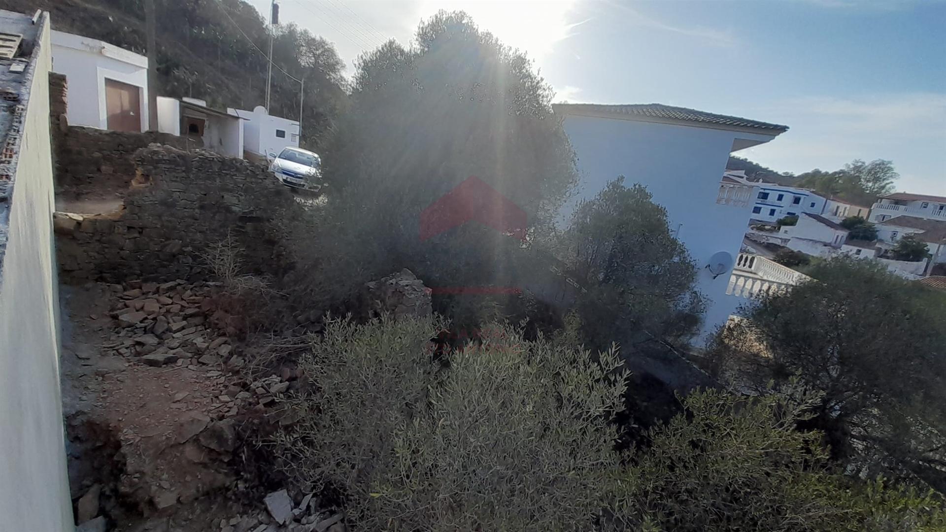Terreno com ruína, Alcoutim, Álamo